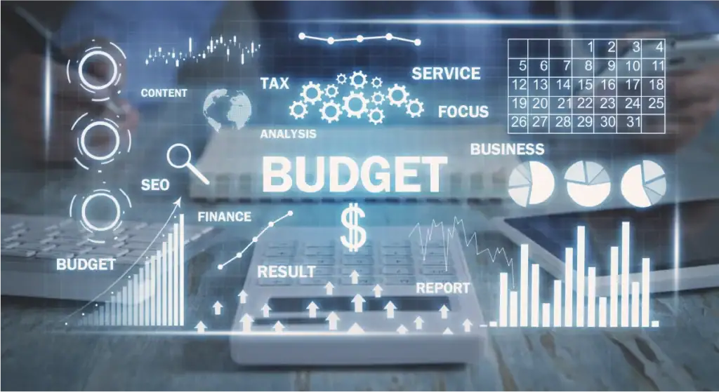 Budget Optimization Techniques